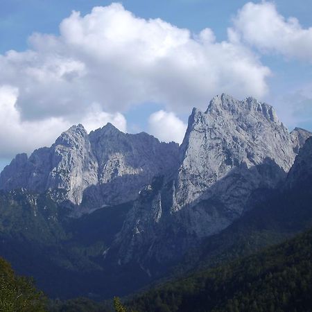 Appartement Lisa Schweiger Kirchberg in Tirol Luaran gambar