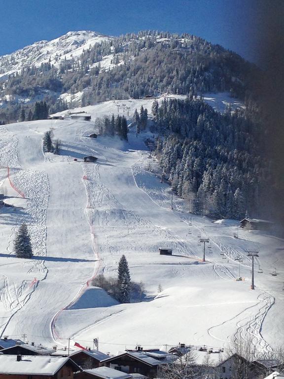 Appartement Lisa Schweiger Kirchberg in Tirol Luaran gambar