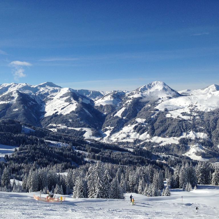 Appartement Lisa Schweiger Kirchberg in Tirol Luaran gambar