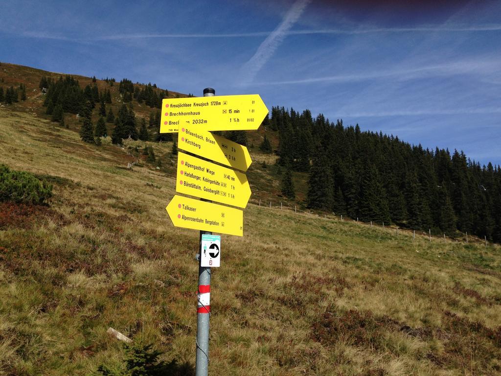 Appartement Lisa Schweiger Kirchberg in Tirol Luaran gambar