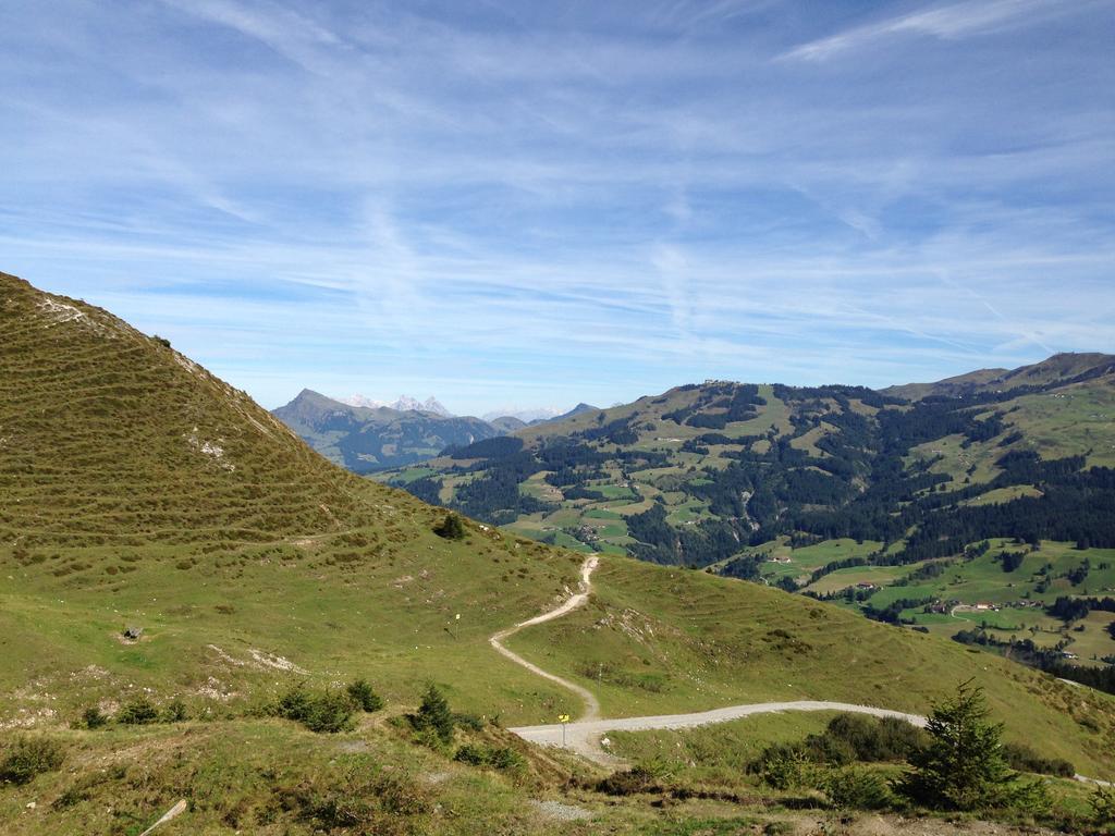 Appartement Lisa Schweiger Kirchberg in Tirol Luaran gambar