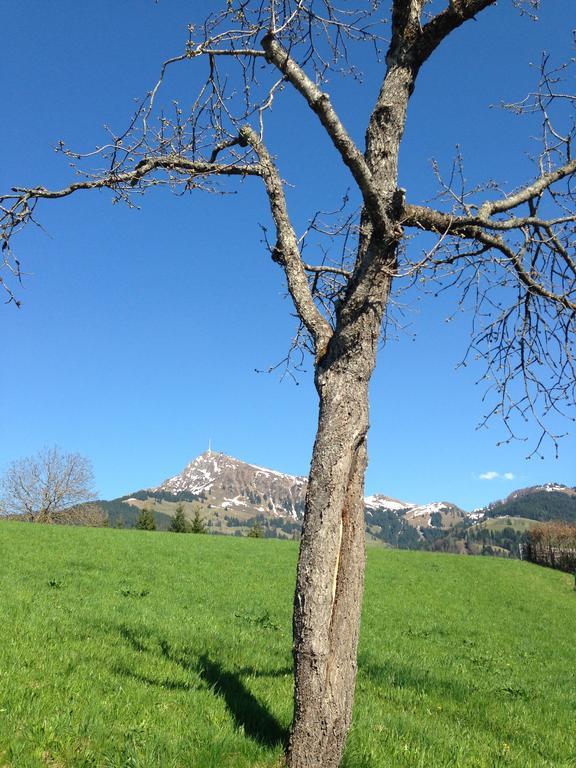 Appartement Lisa Schweiger Kirchberg in Tirol Luaran gambar