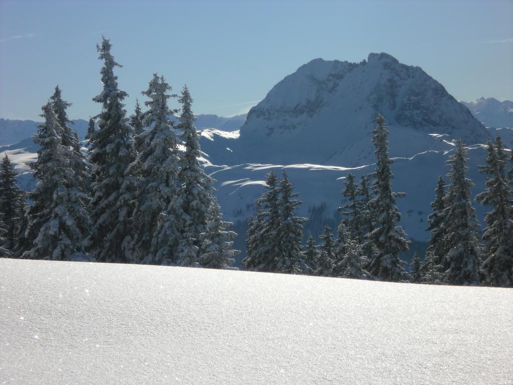 Appartement Lisa Schweiger Kirchberg in Tirol Luaran gambar