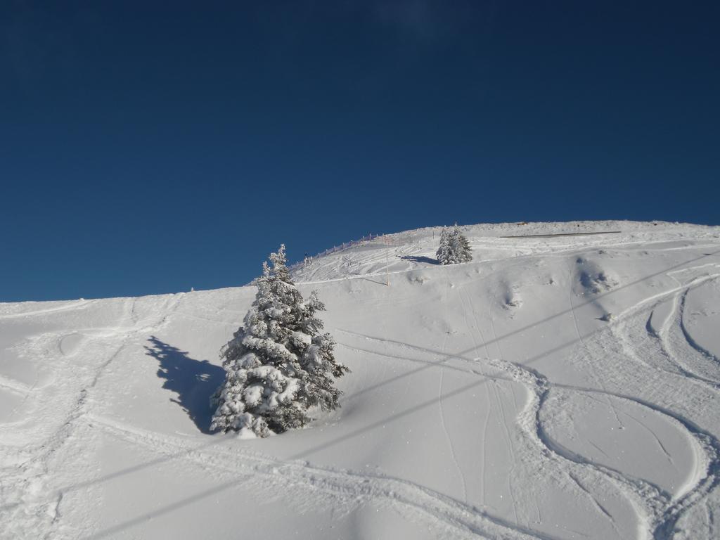 Appartement Lisa Schweiger Kirchberg in Tirol Luaran gambar