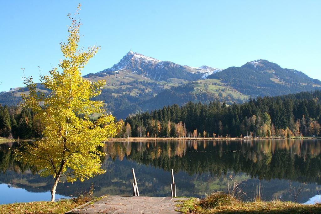 Appartement Lisa Schweiger Kirchberg in Tirol Luaran gambar